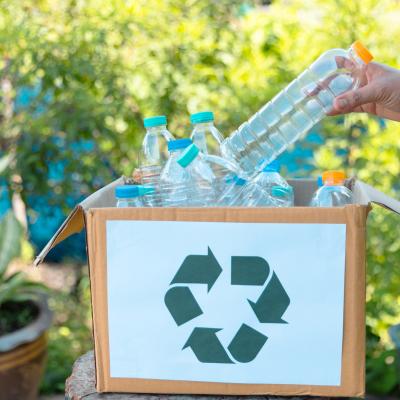sustentabilidade e meio ambiente